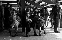 Recuento. Nadie se hac&iacute;a rico en los 80 apostando a los galgos, pero era dinero extra.